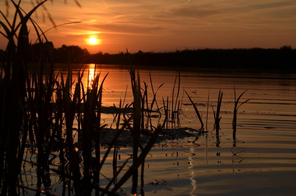 Photograph by Николай Дмитриев