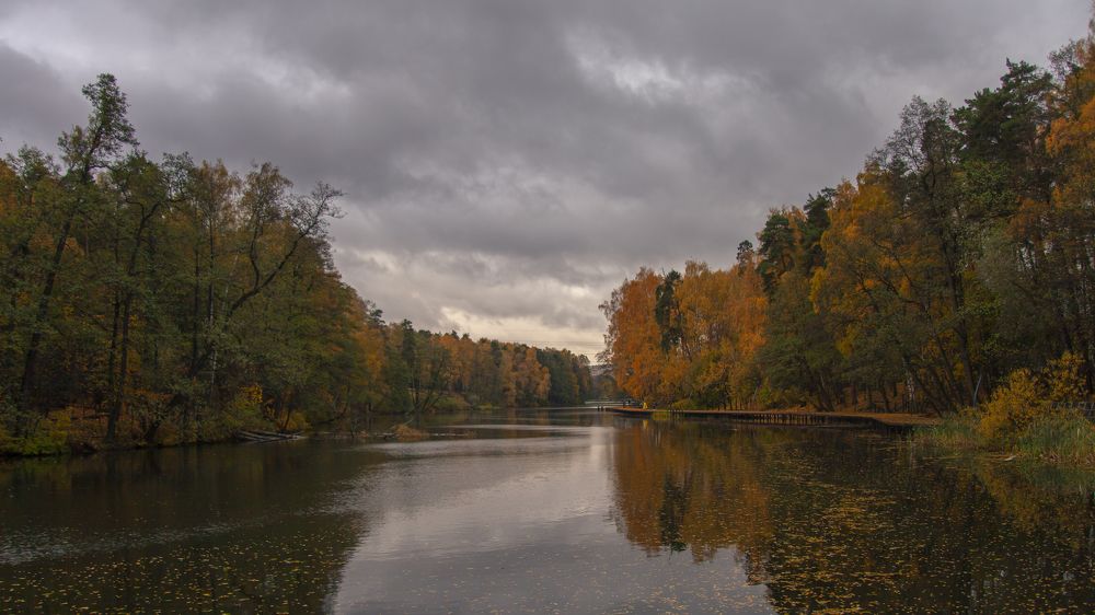 Осенний листопад