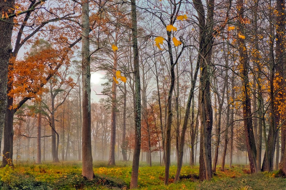 Фотография автора Ольга Виноградова
