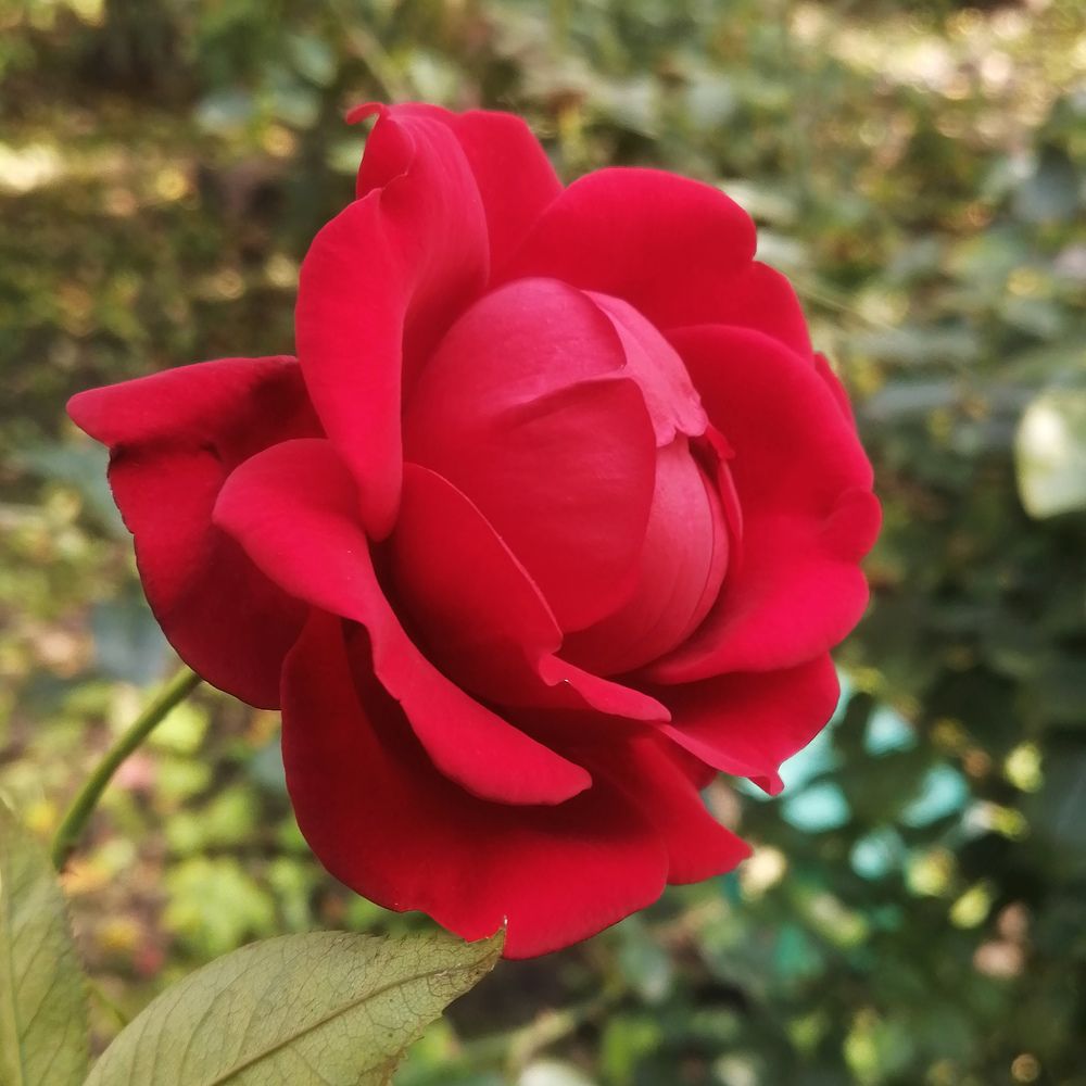 Photograph by Наталья Клячина