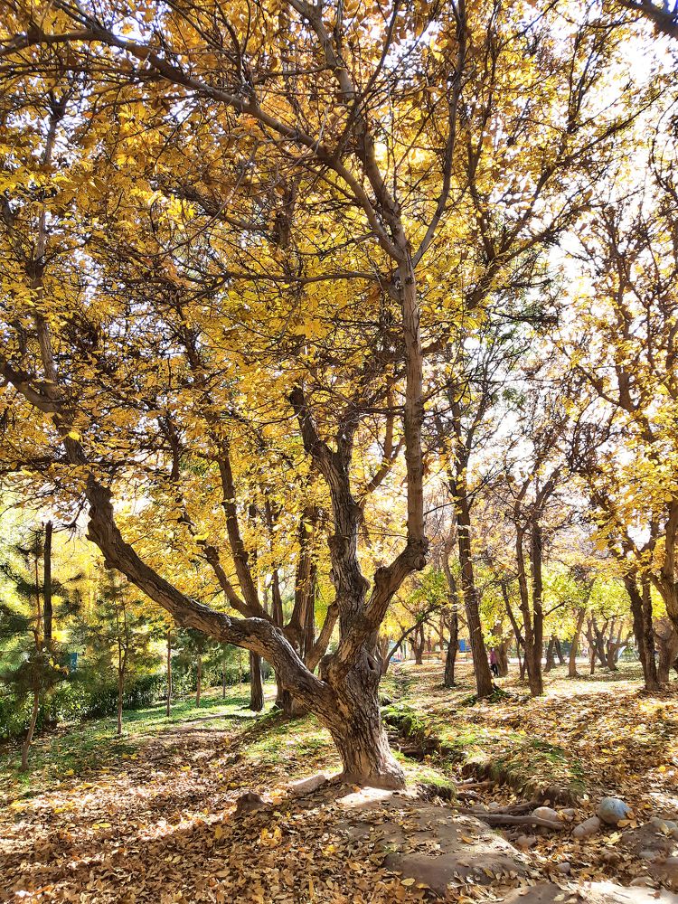 Photograph by Inessa Botasheva