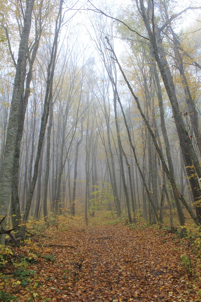 Photograph by Владимир