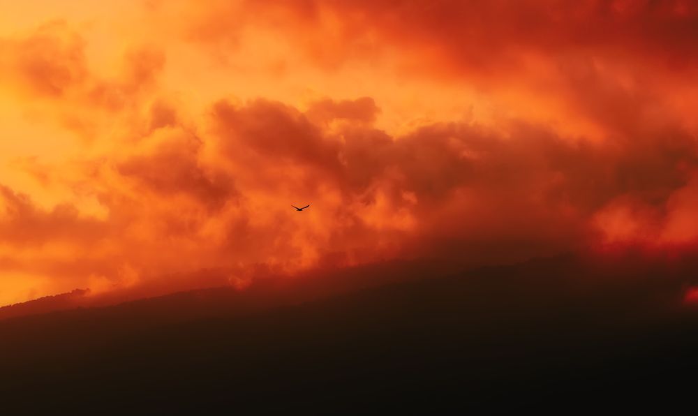 Photograph by Александр Вольхин