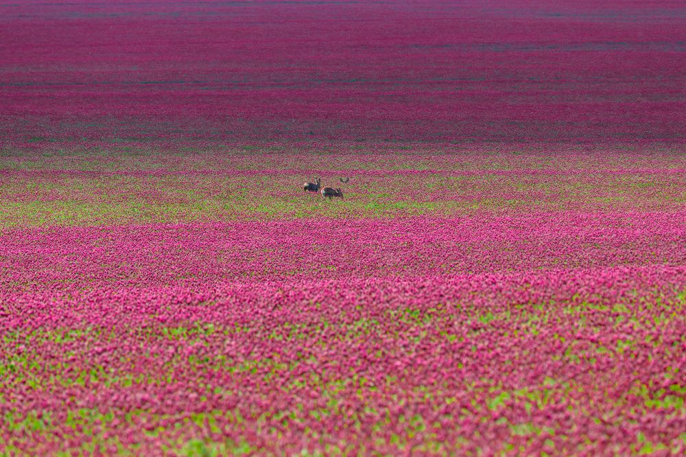 Photograph by Евгения Чех