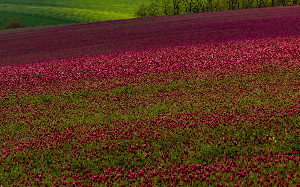 Photograph by Евгения Чех