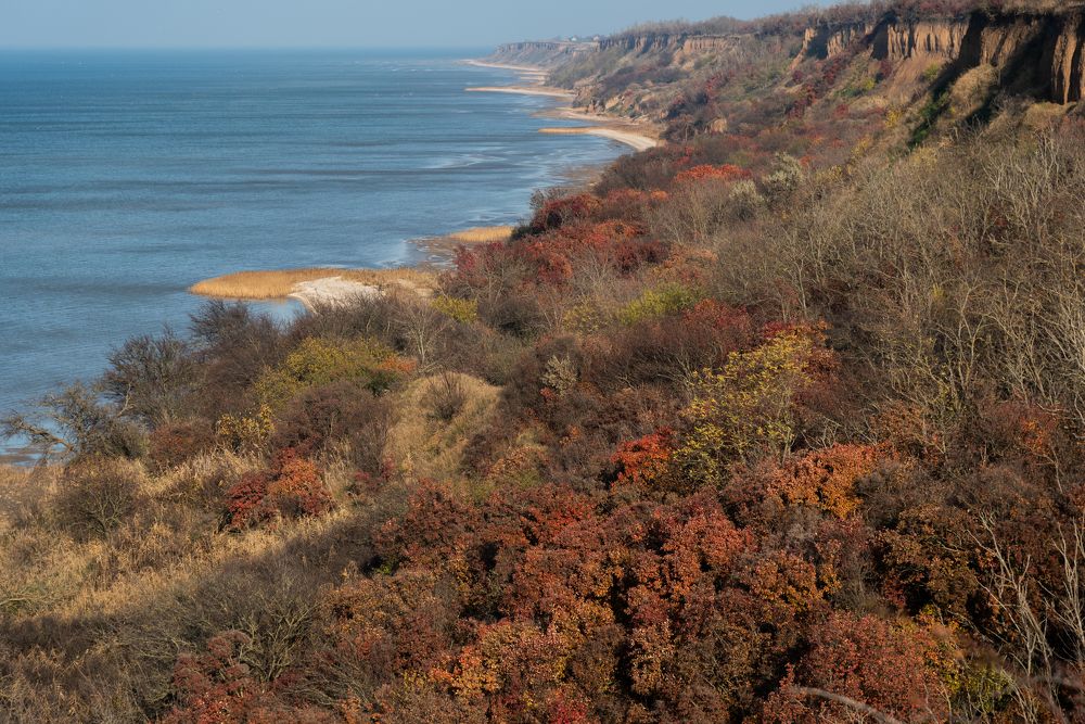 Побережье Азова