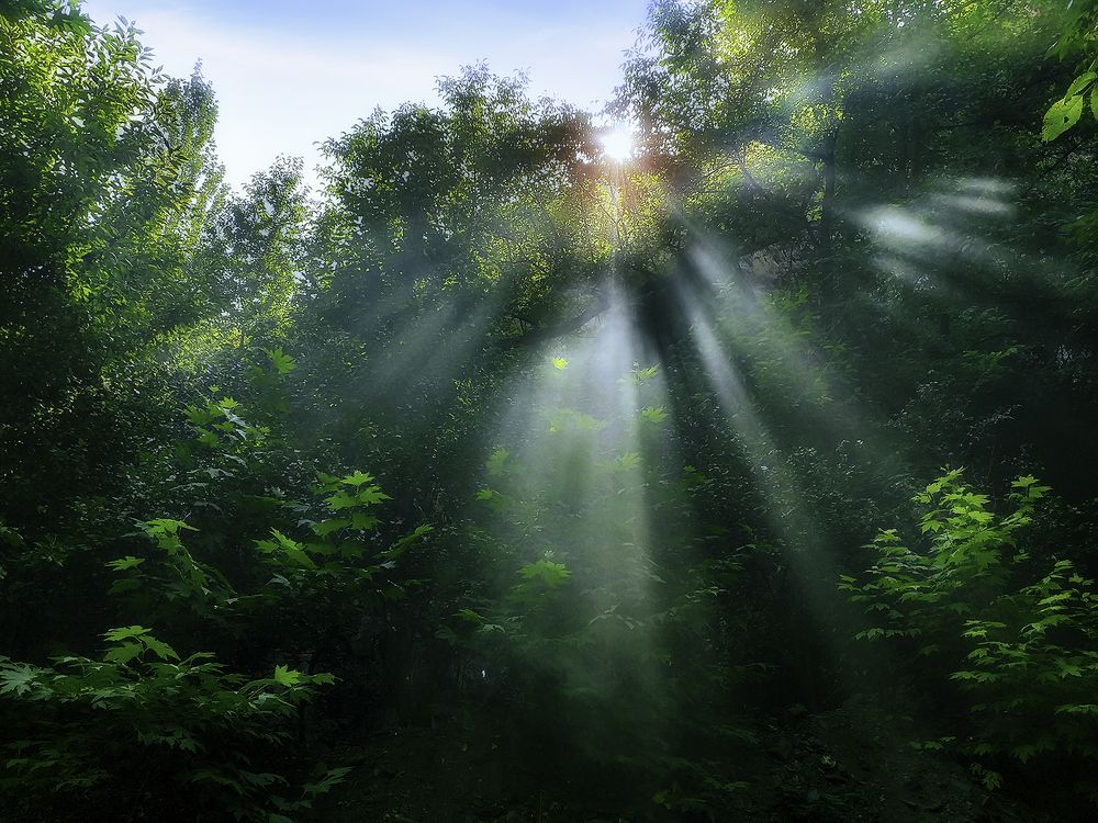 Photograph by Hengameh pirooz