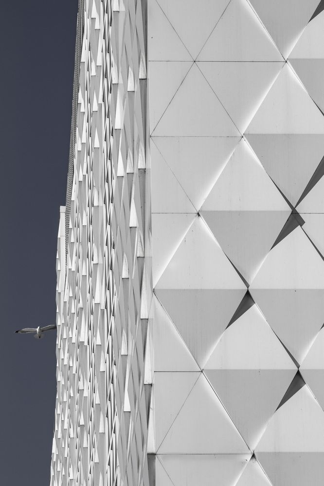 Photograph by Adelina Truhcheva