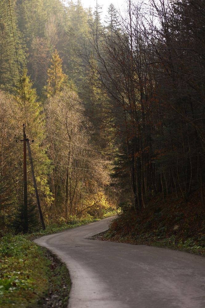 Фотография автора Валентина Балышева