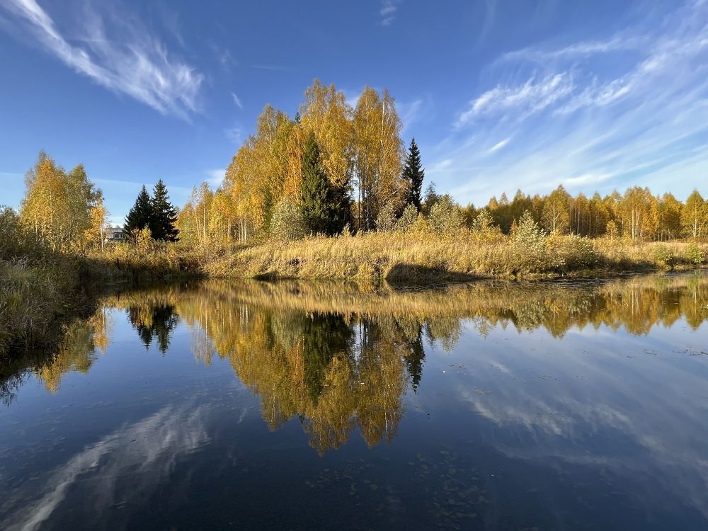 Чудесная осень