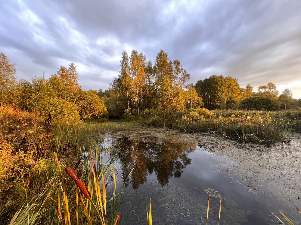 Прекрасная осень