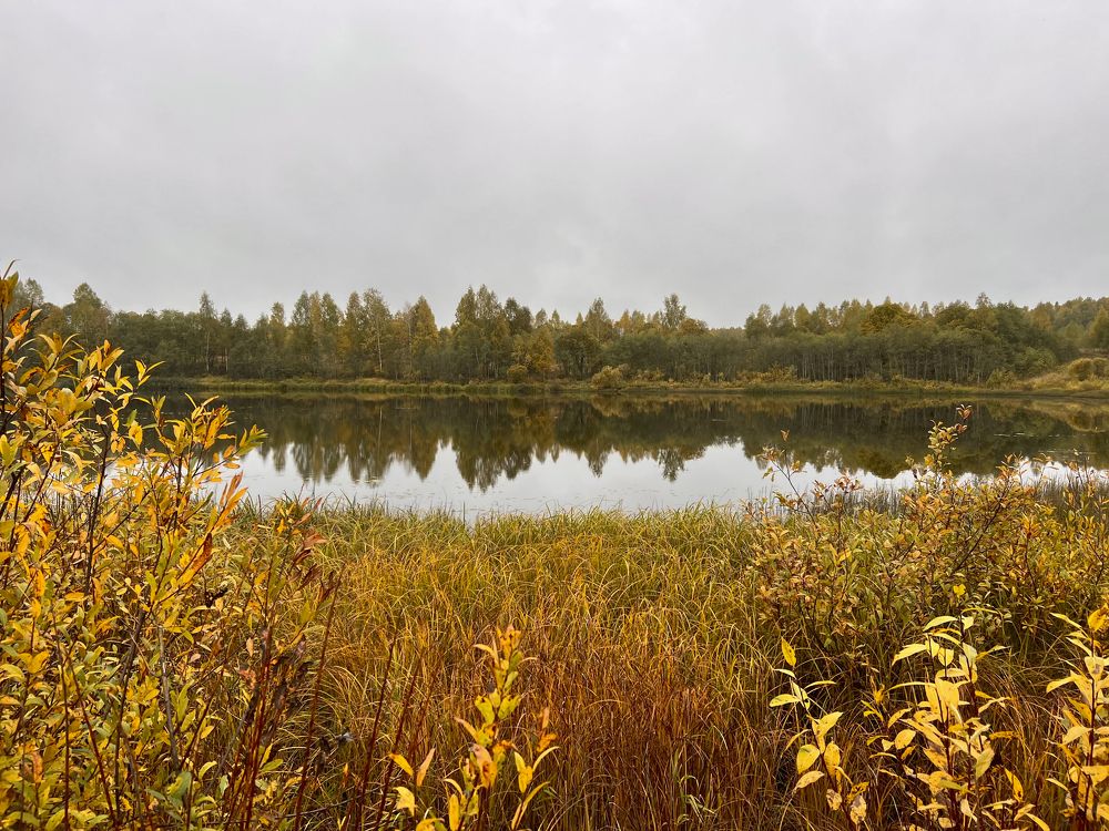 Photograph by Юлия Отставнова