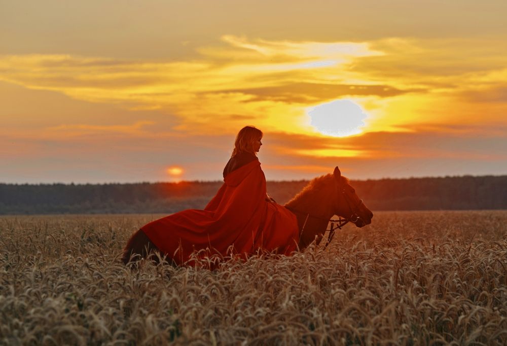 Photograph by Светлана Сафонова