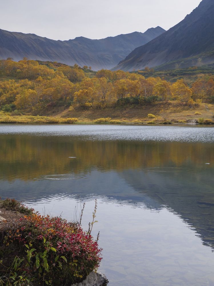 Photograph by Владимир Дождик