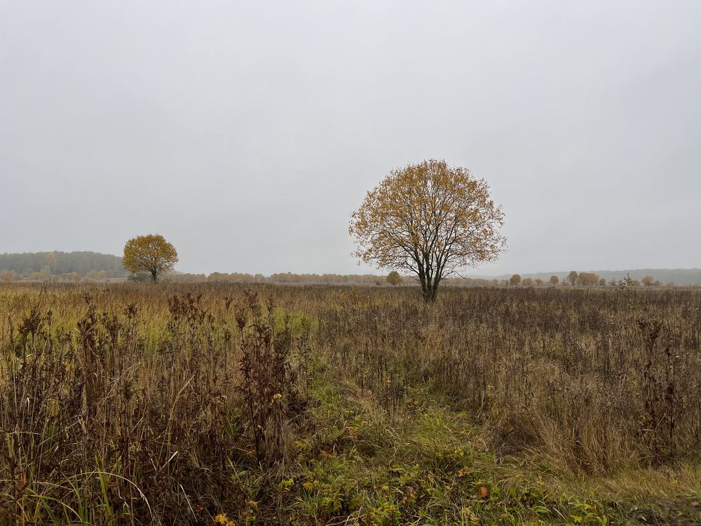 Photograph by Юлия Отставнова