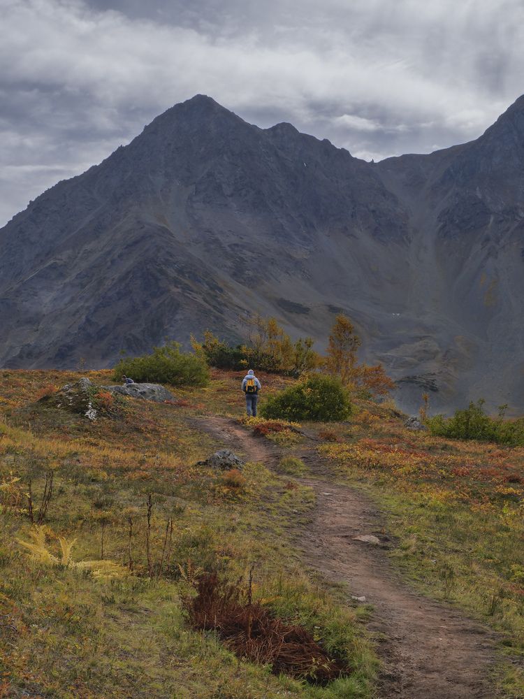 Photograph by Владимир Дождик