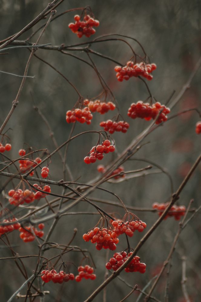 Photograph by Софья Лученкова