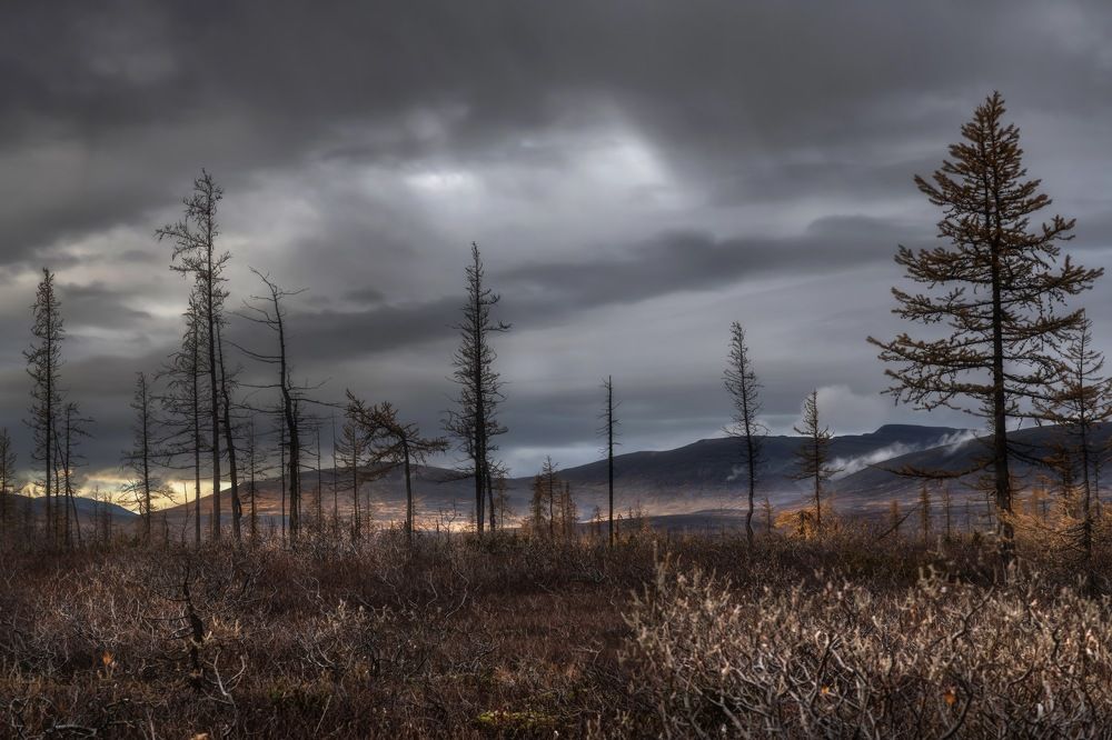 Photograph by Ирина Ульянова