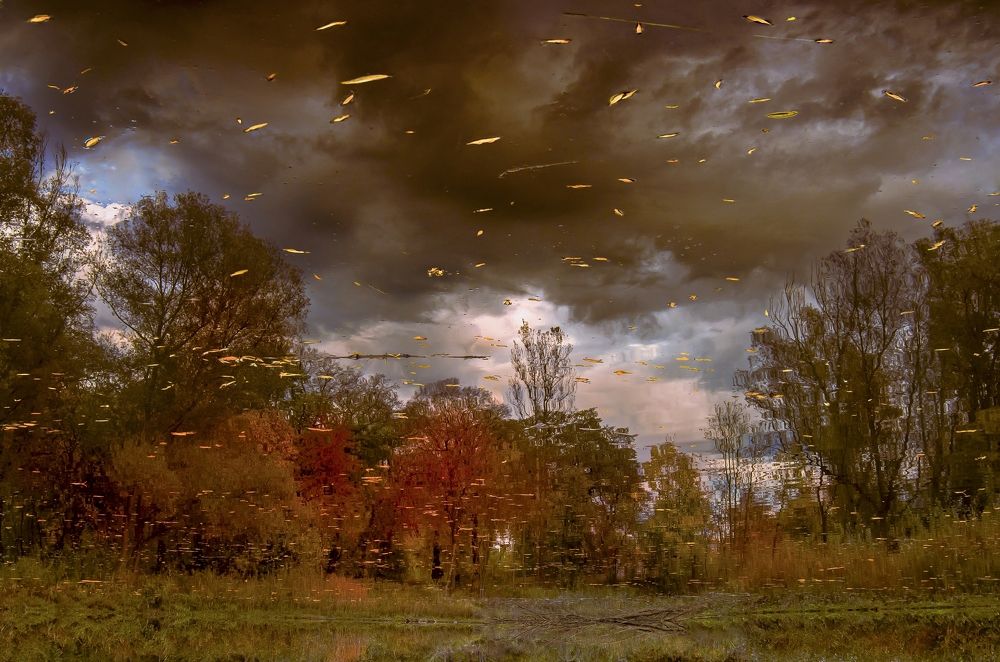 Photograph by Kveta Novotna