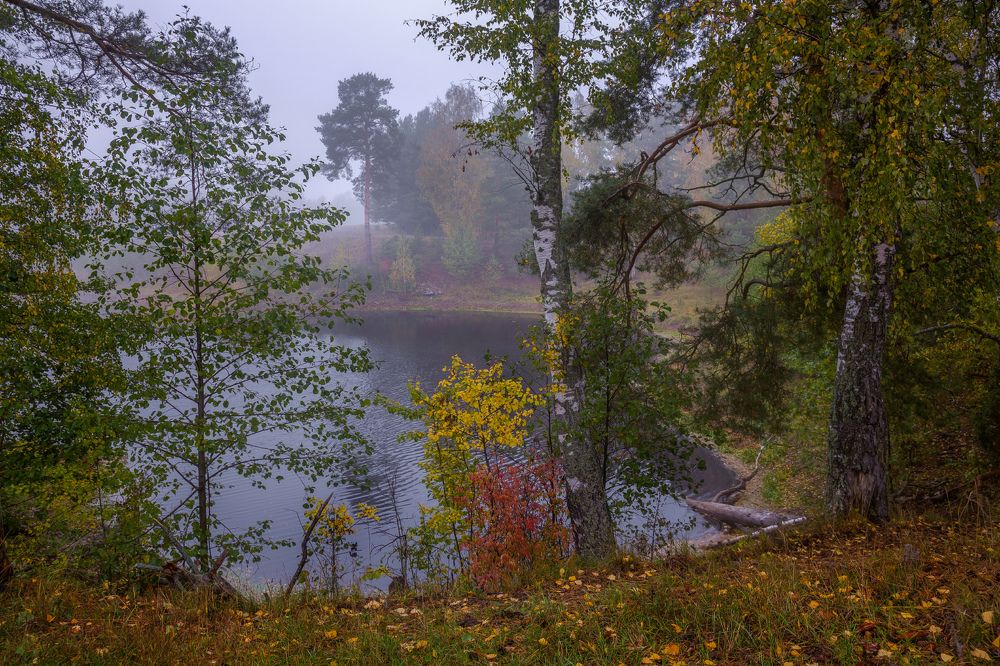 Photograph by Дмитрий Алексеев