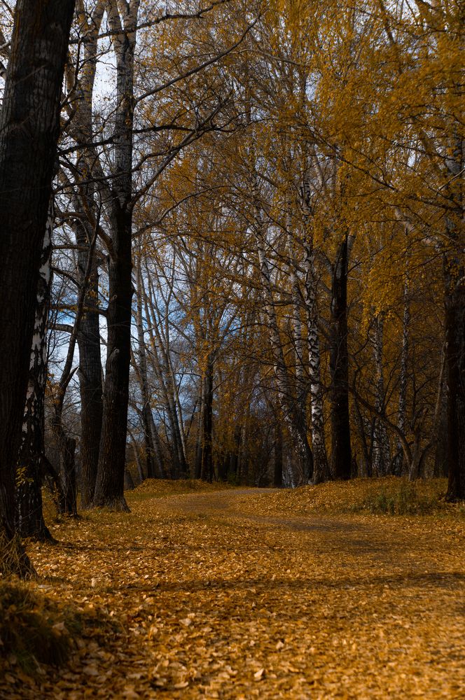 Photograph by Светлана Нестерова