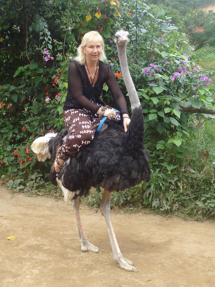 Photograph by Андрей Елькин