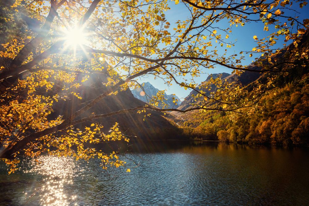 Photograph by EKATERINA WALTER