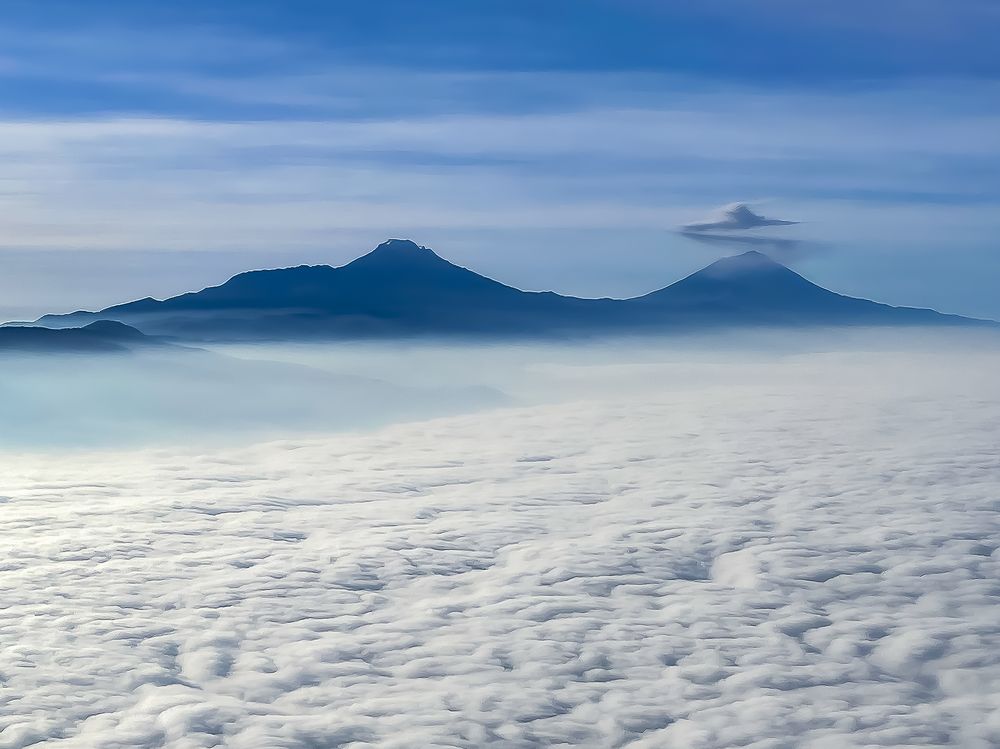 Photograph by Silvia Marcos