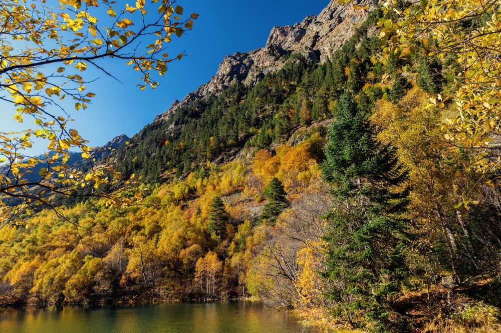 Photograph by EKATERINA WALTER