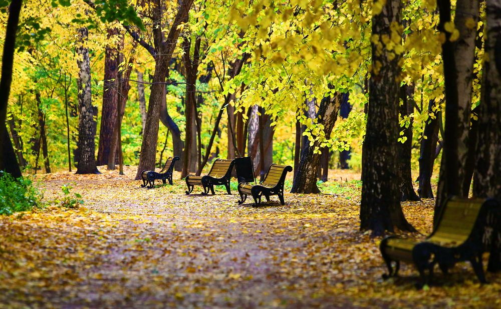 Photograph by VictОr