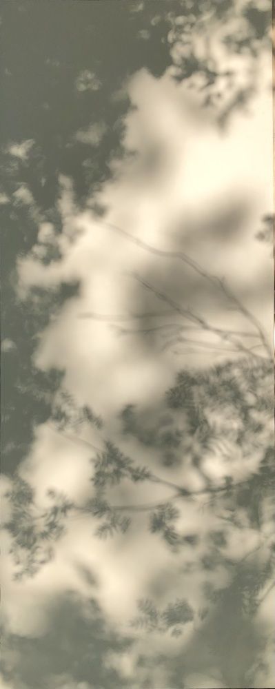 Photograph by Натали Кытманова