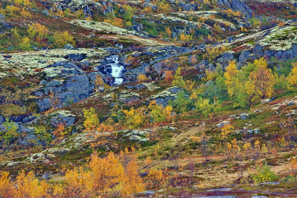 Photograph by VictОr