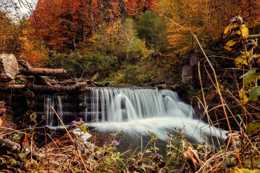 Photograph by EKATERINA WALTER