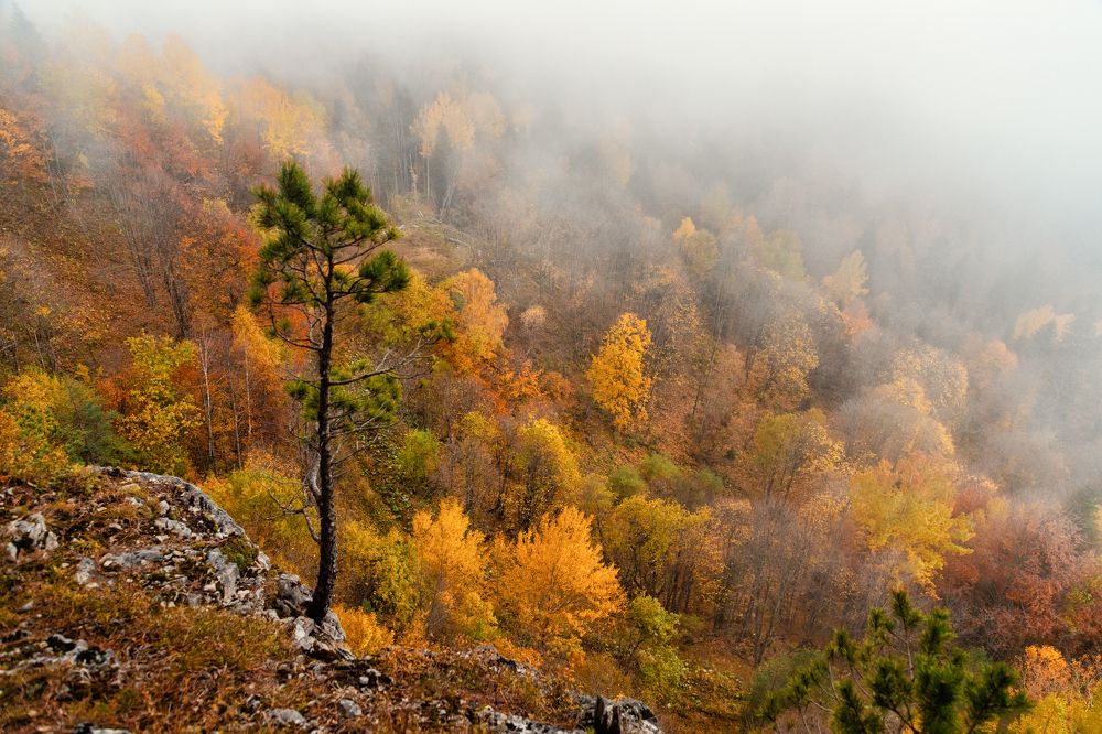 Photograph by EKATERINA WALTER