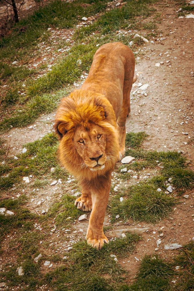 Photograph by Алексей Торопенко