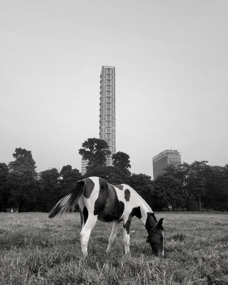 Photograph by Biswadip Sewli