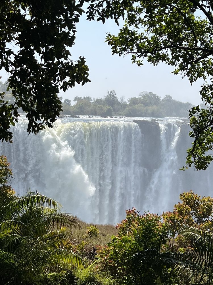 Photograph by Оксана Лабузова