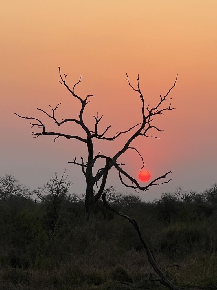 Photograph by Оксана Лабузова