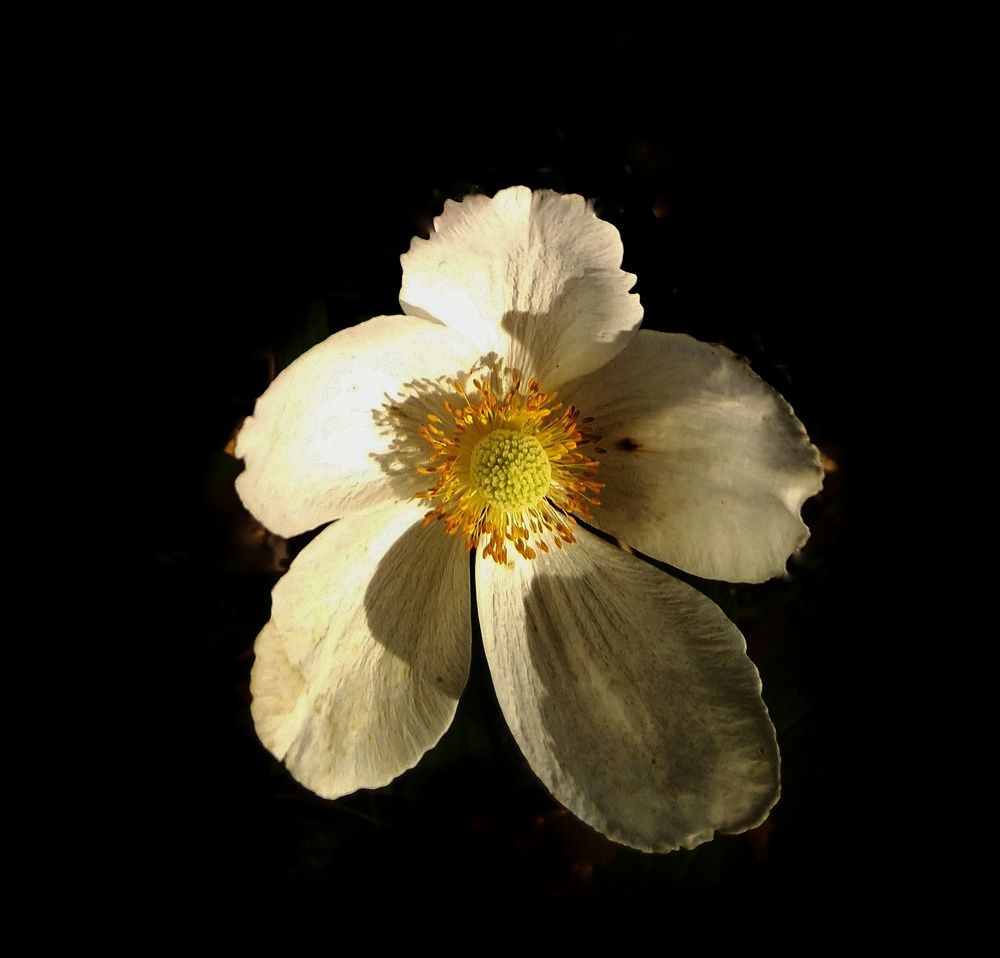 Photograph by Анна Матецкая