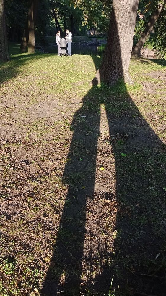 Photograph by Людмила Викулова