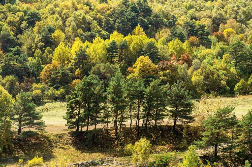 Photograph by Виктор Петров