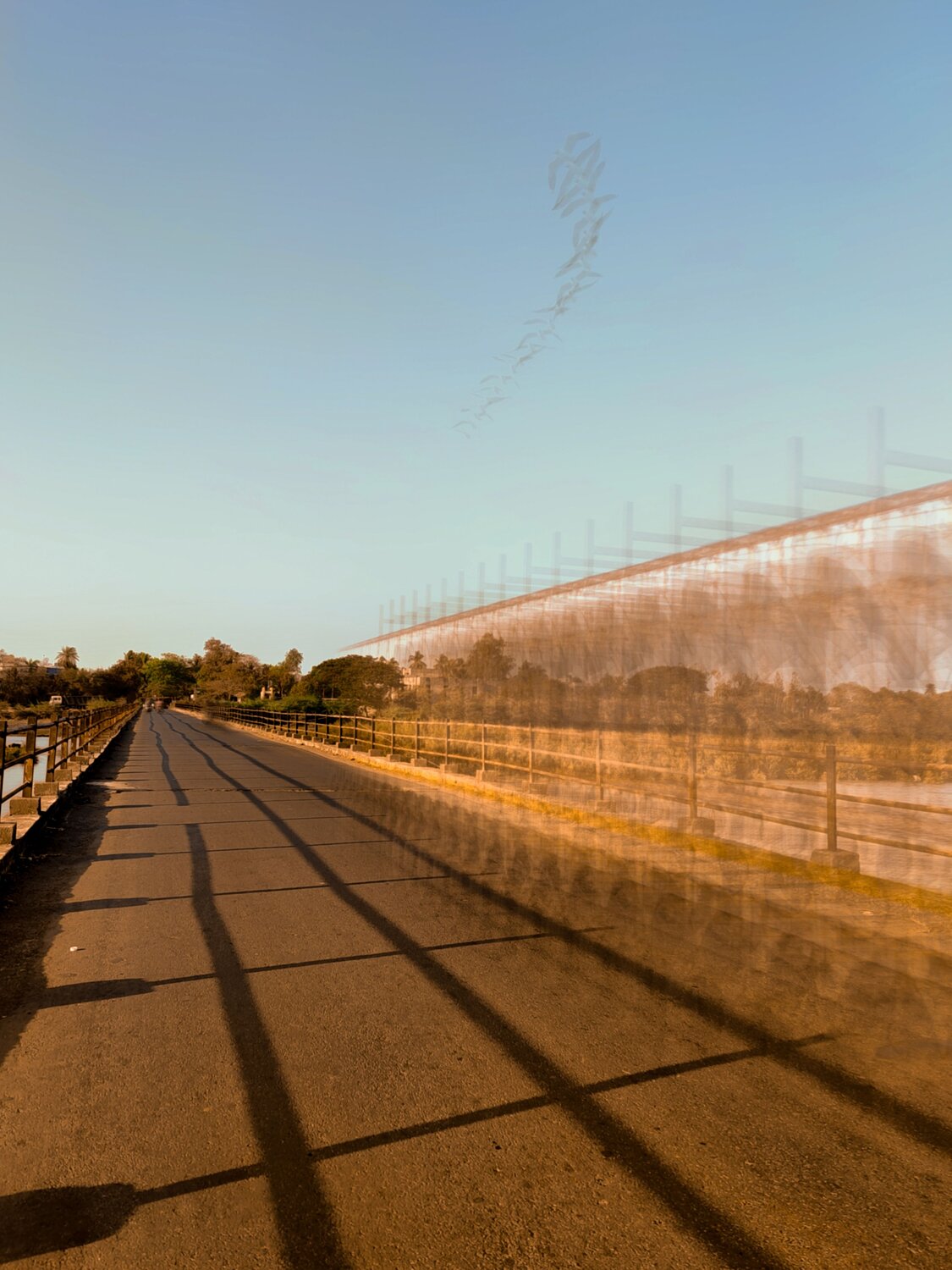 Photo #8351164