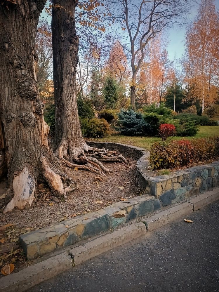 Photograph by Татьяна