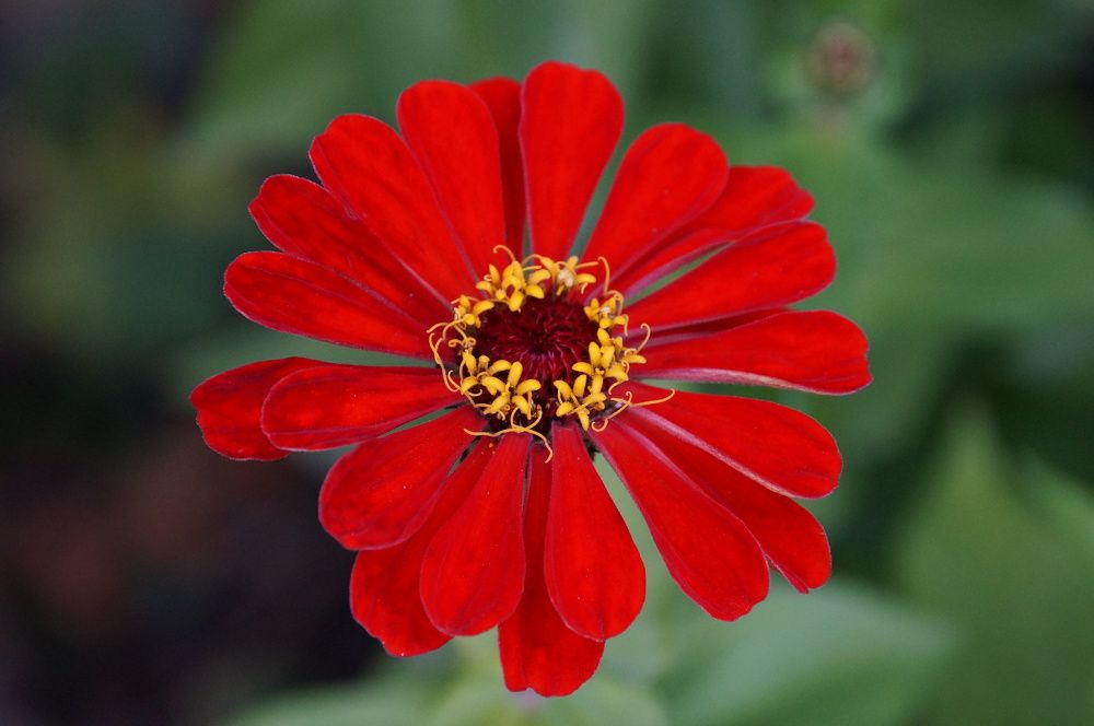 Photograph by Виктор Петров