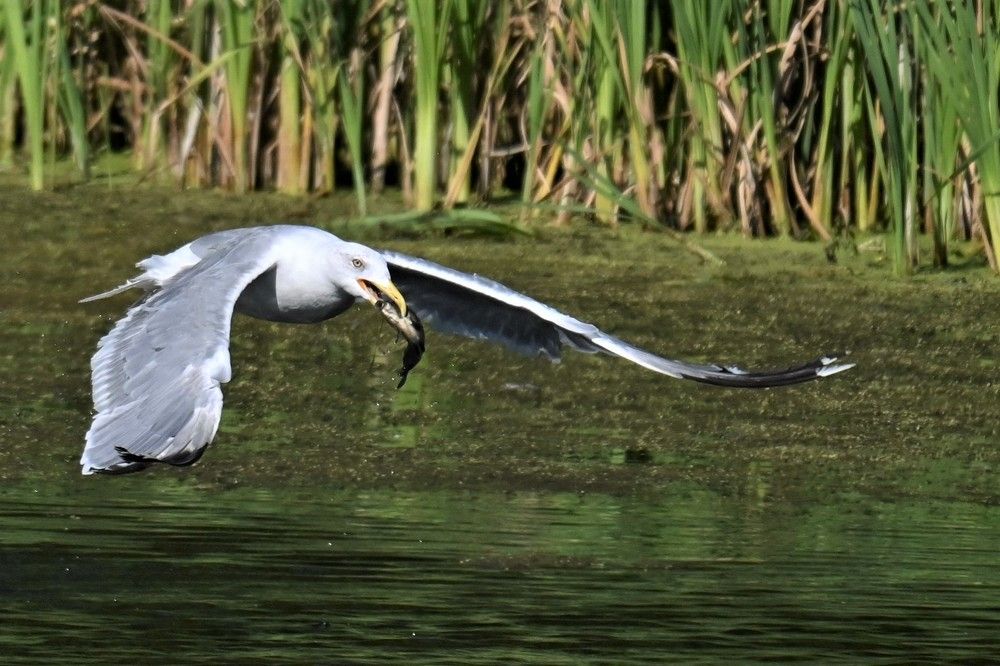 Фотография автора IRINA FILIPPOVA
