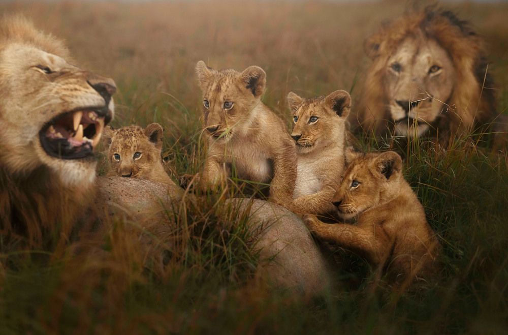 Photograph by Rino Suren