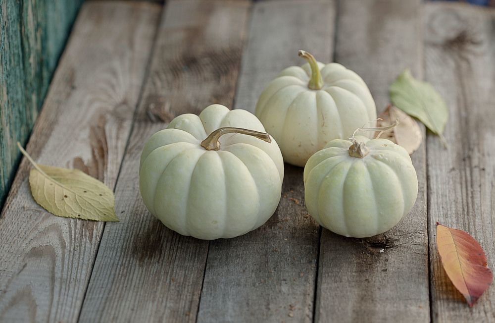 Фотография автора Alena Makushina