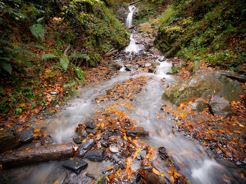 Photograph by Мария Милюхина