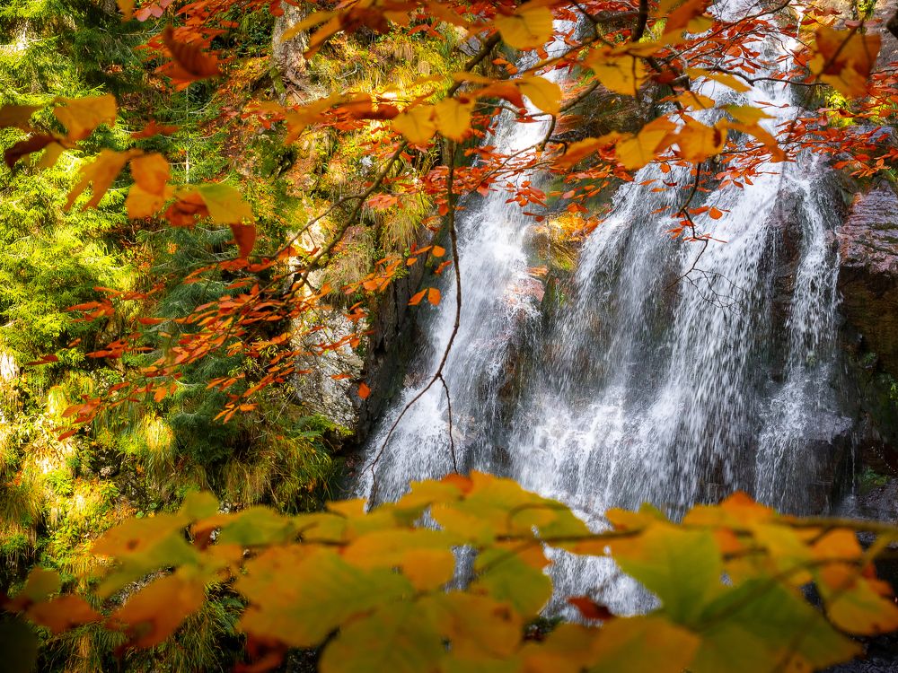 Photograph by Мария Милюхина