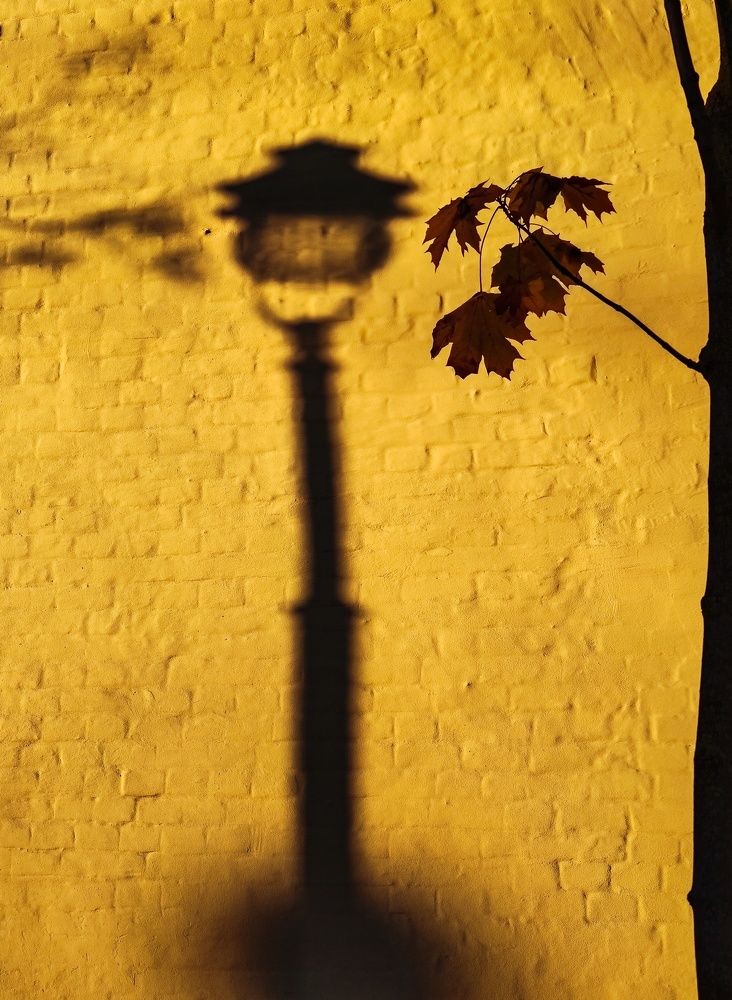 Photograph by Инга Пеннер